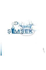 ŞİMŞEK ZÜMRÜT Uzun Tekli Musluk